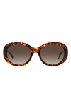Kate Spade Avah 56mm Gradient Round Sunglasses In Havana/brown Gradient