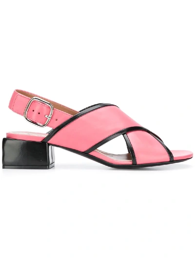 Marni Leather Crossover Sandals In Pink