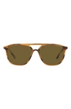Armani Exchange 56mm Pilot Sunglasses In Striped Brown