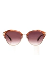 Rag & Bone 55mm Gradient Round Sunglasses In Burgundy Red Horn/ Burgundy
