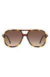 Carrera Eyewear 58mm Navigator Sunglasses In Havana 2/ Brown Gradient