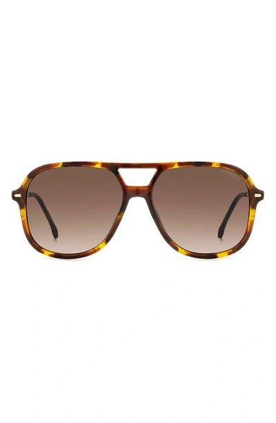 Carrera Eyewear 58mm Navigator Sunglasses In Havana 2/ Brown Gradient