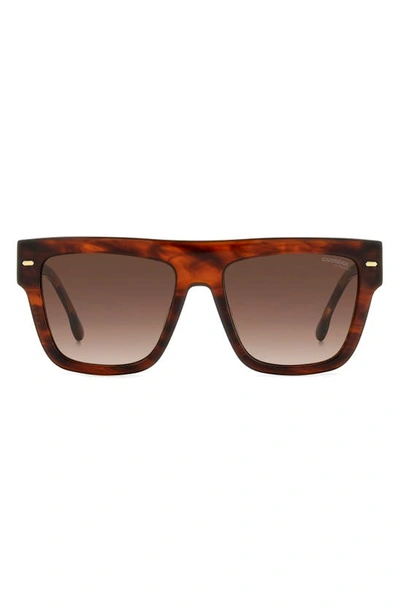 Carrera Eyewear 55mm Flat Top Sunglasses In Brown Horn/ Brown Gradient