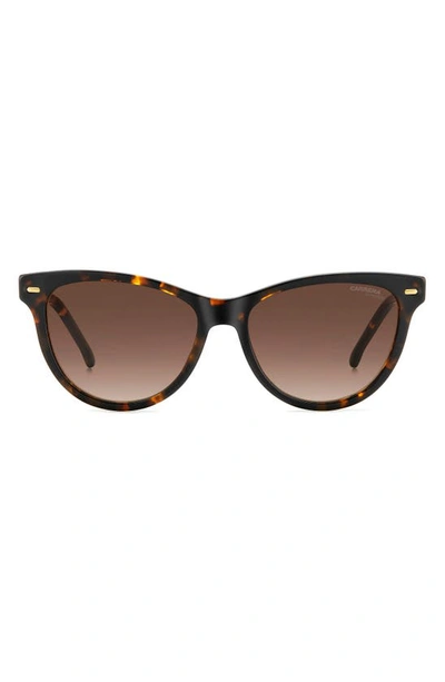 Carrera Eyewear 54mm Cat Eye Sunglasses In Havana/ Brown Gradient