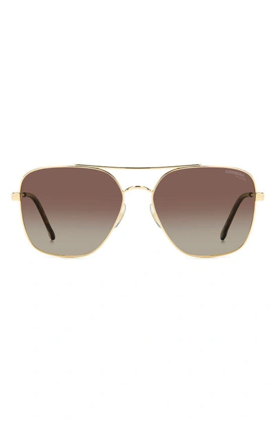 Carrera Eyewear 60mm Gradient Square Sunglasses In Gold Havana/ Brown Polar