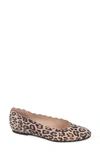 Patricia Green Palm Beach Scalloped Ballet Flat In Leopard