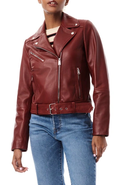 Bernardo Crop Leather Moto Jacket In Red Wine