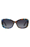 Kate Spade Elowen 55mm Gradient Round Sunglasses In Black Blue Havana