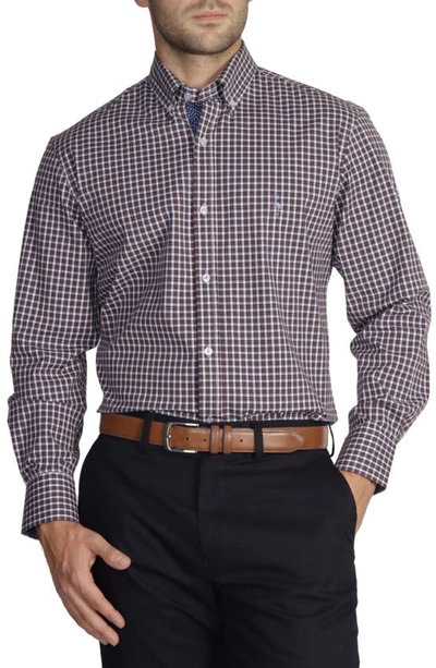 Tailorbyrd Long Sleeve Cotton Stretch Button Down Shirt In Brown