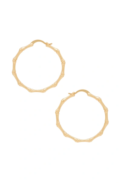 The M Jewelers Ny Bamboo Hoop Earrings In Gold