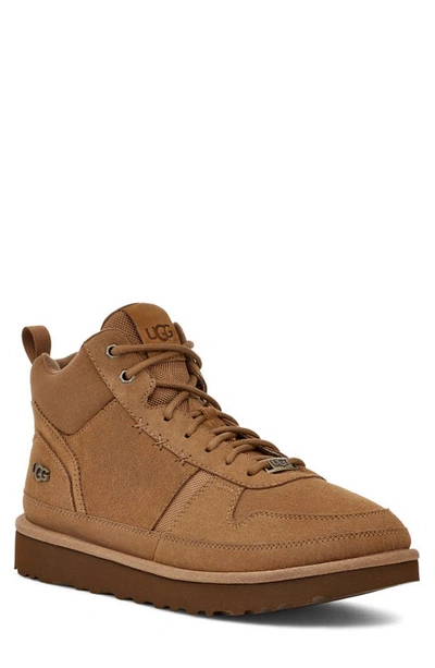 Ugg Highland High Top Heritage Hiking Boot In Chestnut Suede