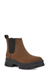 Ugg Ashton Waterproof Chelsea Boot In Dark Earth