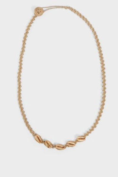 Luis Morais Shell Choker Necklace In Metallic