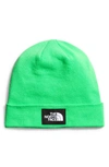 The North Face Dock Worker Recycled Beanie In Chlorophyll Green
