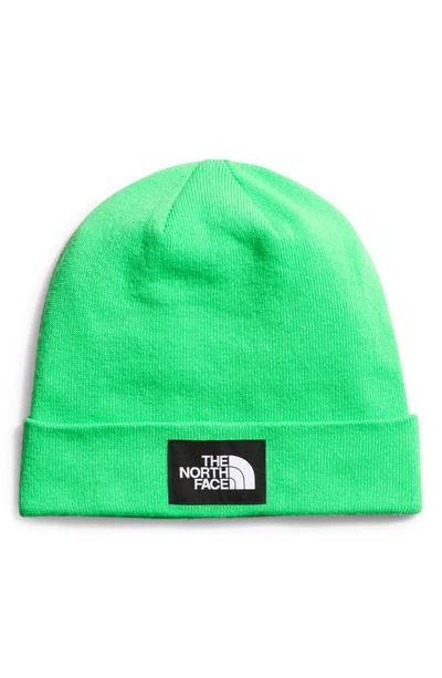 The North Face Dock Worker Recycled Beanie In Chlorophyll Green