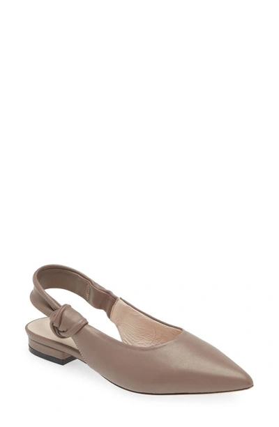 Koko + Palenki Understated Slingback Pointed Toe Flat In Taupe Leather