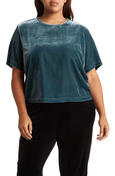 Melloday Velvet Short Sleeve Top In Light Teal