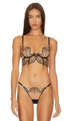 Bluebella Marisa Longline Bra In Black,sheer