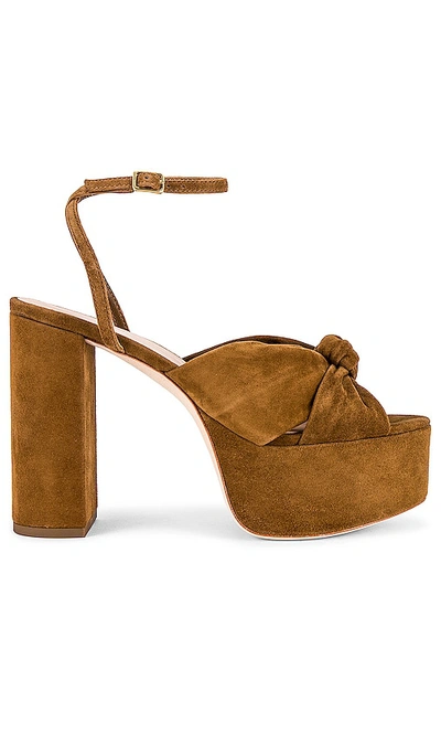 Loeffler Randall Roz Knot Ankle Strap Platform Sandal In Cacao