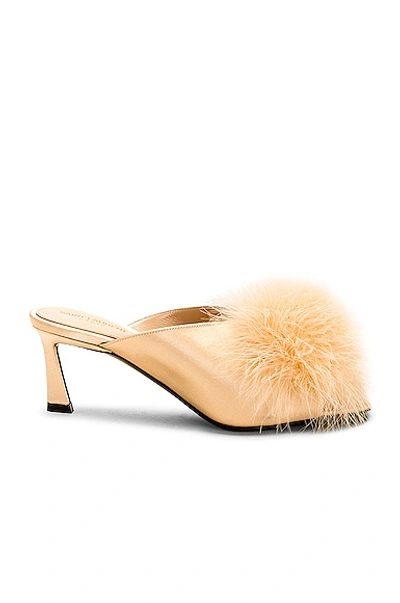 Saint Laurent Blanco 60 Mule In Soft Nude