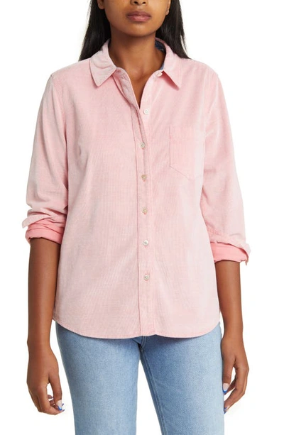 Tommy Bahama Corduroy Shirt In Pure Coral