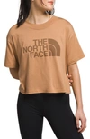 The North Face Half Dome Crop Graphic T-shirt In Almond Butter,almond Butter