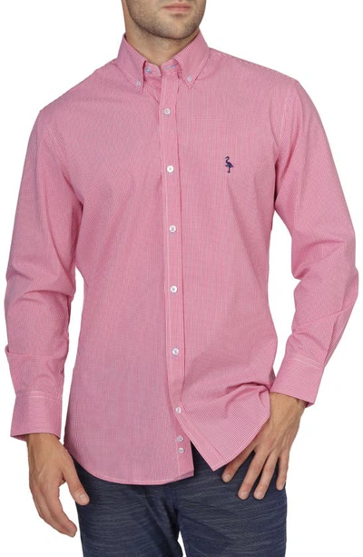 Tailorbyrd On The Fly Regular Fit Gingham Stretch Button-down Shirt In Fuchsia