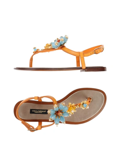 Dolce & Gabbana Toe Strap Sandals In Orange