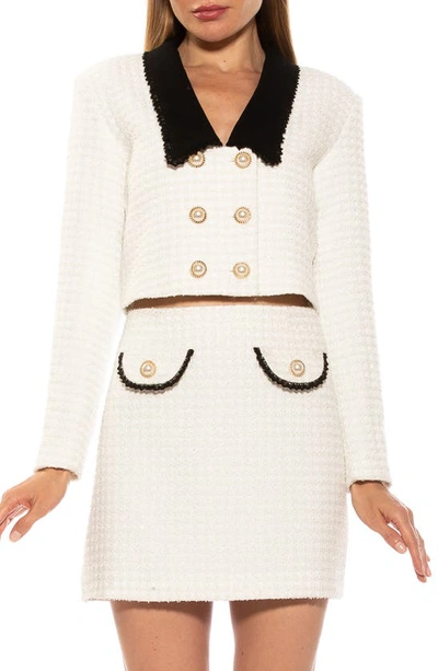 Alexia Admor Aurelia Tweed Crop Jacket In Ivory