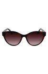 Lacoste 55mm Gradient Cat Eye Sunglasses In Tortoise