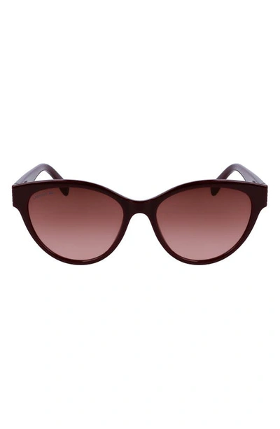 Lacoste 55mm Gradient Cat Eye Sunglasses In Burgundy