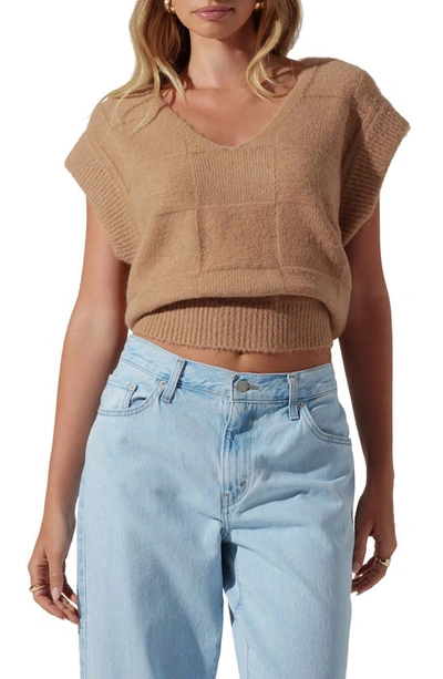 Astr Checker Sweater Vest In Taupe