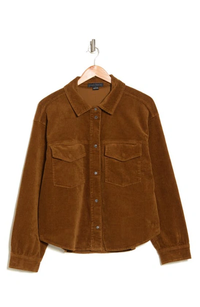 Sanctuary Dakota Corduroy Shacket In Pecan