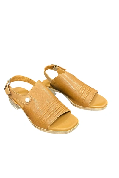 Paula Urban Sunset Bangla In Brown