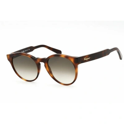 Ferragamo Women's 52mm Sunglasses In Brown