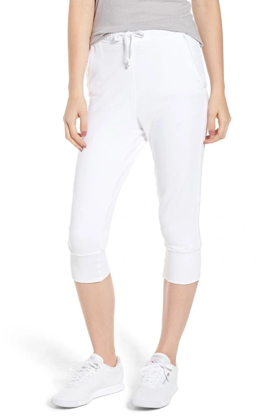 Frank & Eileen Tee Lab Super Crop Sweatpants In Whiteout