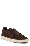 Rodd & Gunn Sussex Street Sneaker In Chocolate