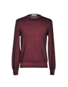 Cruciani Cashmere Blend In Maroon