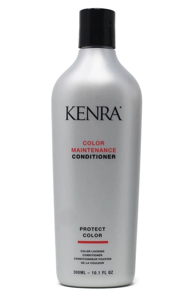 Kenra Color Maintenance Conditioner In Gray