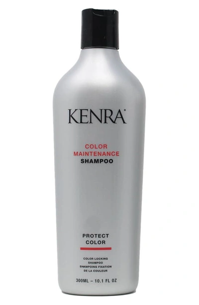 Kenra Color Maintenance Shampoo In White