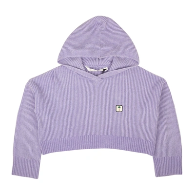 Palm Angels Lilac Pxp Sweater Ribbed Cropped Hoodie In Purple