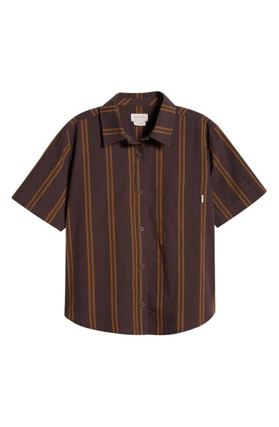 Brixton Sidney Stripe Short Sleeve Cotton Button-up Shirt In Seal Brown