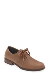 Naot Blizzard Derby In Oily Bark Nubuck