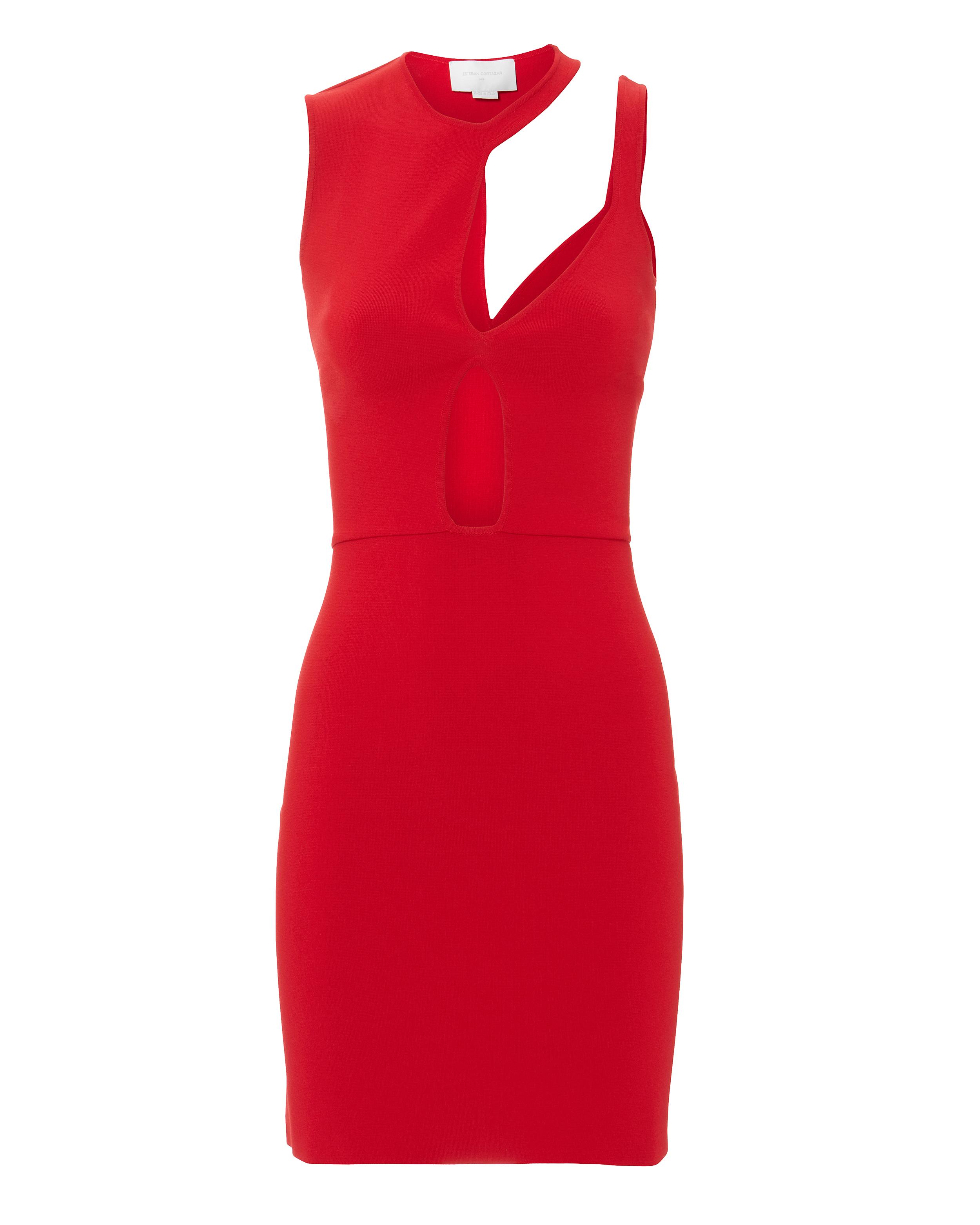 esteban cortazar cutout mini dress