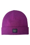 Faherty Workwear Merino Wool Beanie In Purple