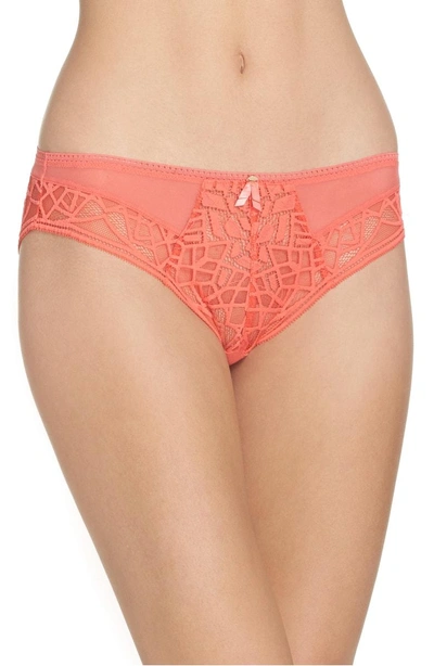 Freya Soiree Lace Briefs In Coral