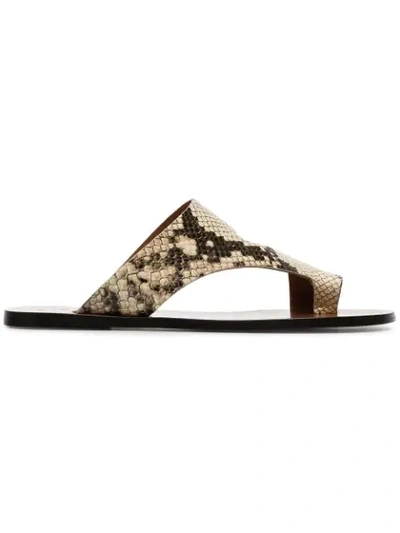 Atp Atelier Roma Snake Print Leather Sandals - Neutrals