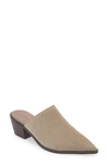 Chocolat Blu Cellia Pointed Toe Mule In Taupe Suede