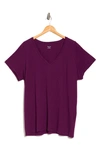 Madewell Whisper Cotton V-neck T-shirt In Mulled Wine