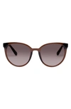 Le Specs Armada 54mm Cat Eye Sunglasses In Cocoa